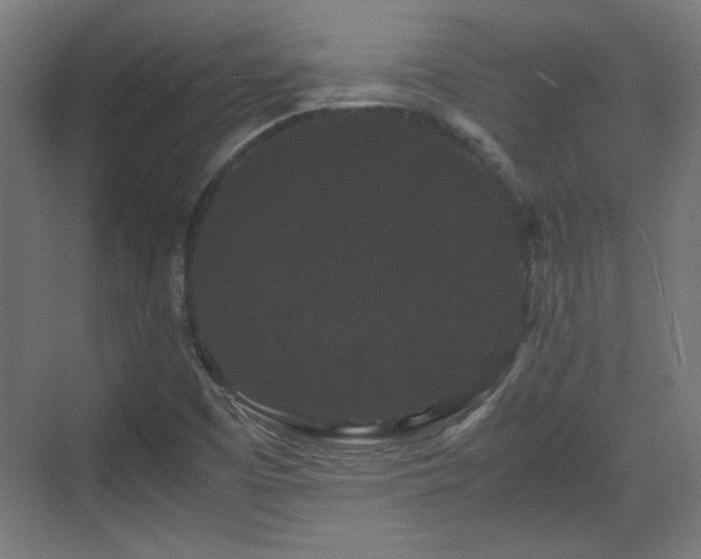 X0000071901457200607141322