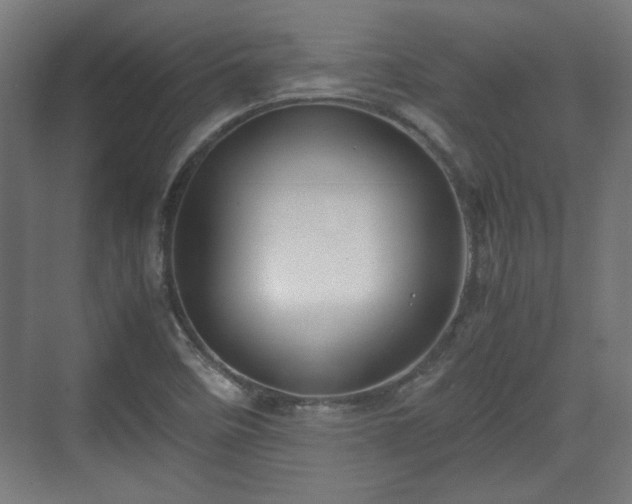 X0000071901458200607141322