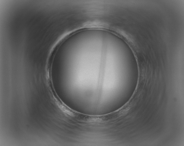 X0000071901462200607141322