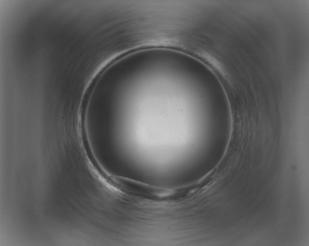 X0000071901468200607141322