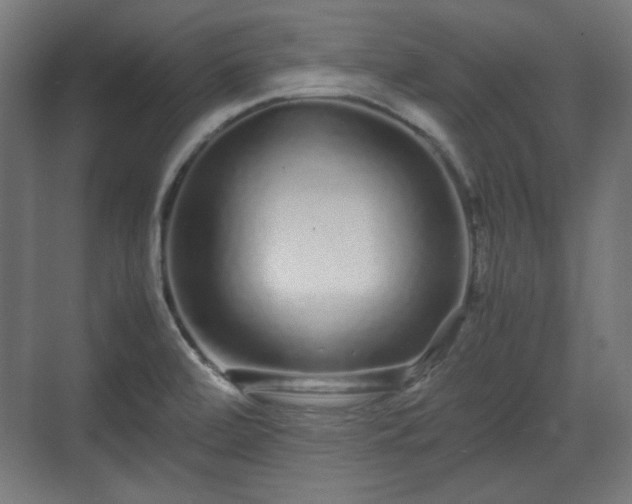 X0000071901472200607141321