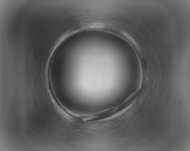 X0000071901475200607141321