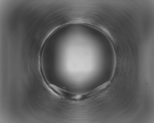 X0000071901476200607141321