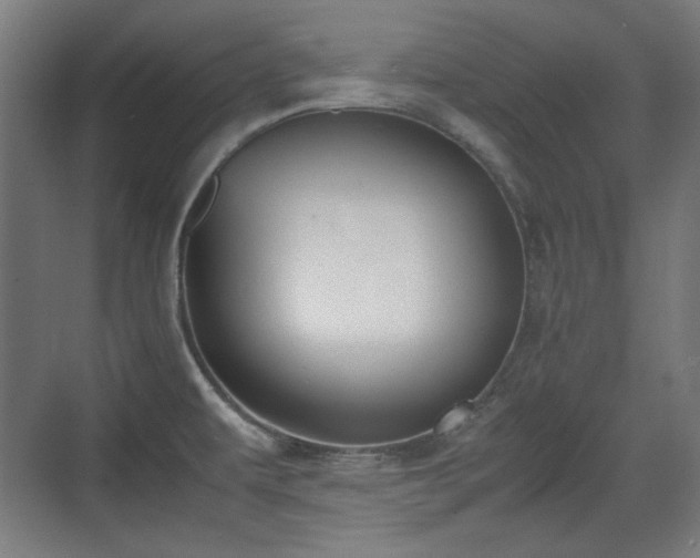 X0000071901479200607141321