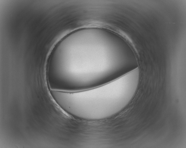 X0000071901480200607141321