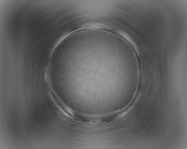 X0000071901481200607141321