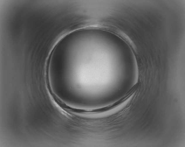 X0000071901483200607141321