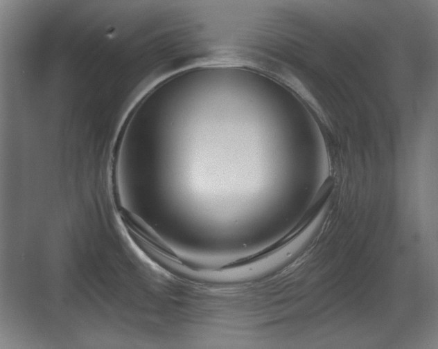 X0000071901484200607141321