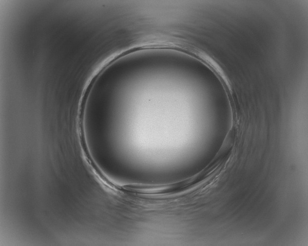 X0000071901485200607141321