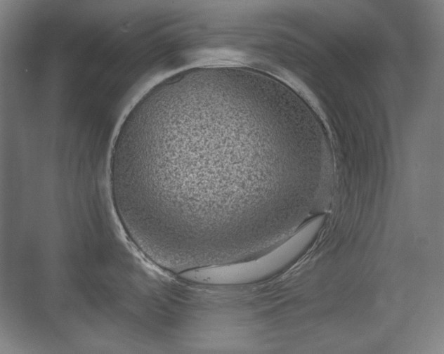 X0000071901488200607141321