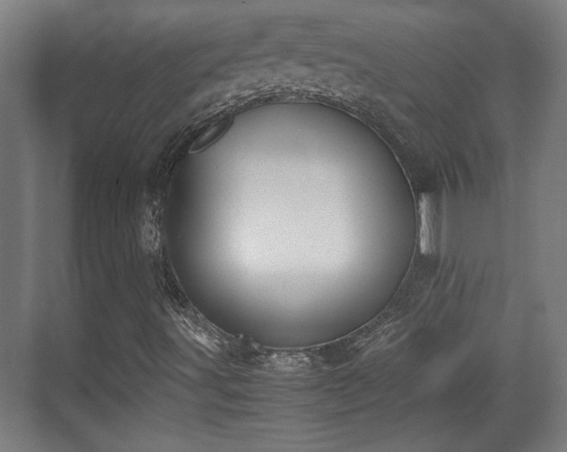 X0000071901491200607141320