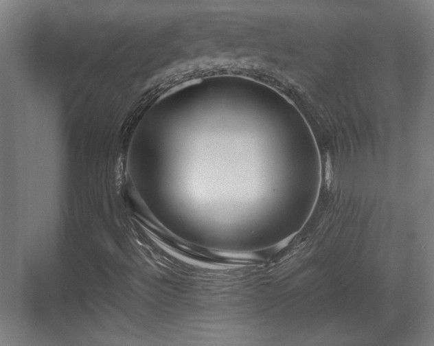 X0000071901492200607141320