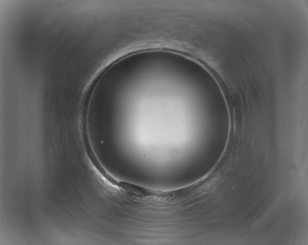 X0000071901500200607141321