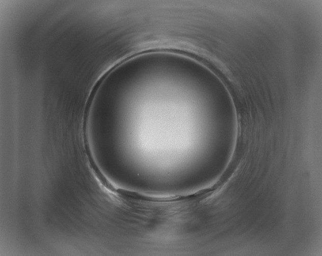 X0000071901513200607141321