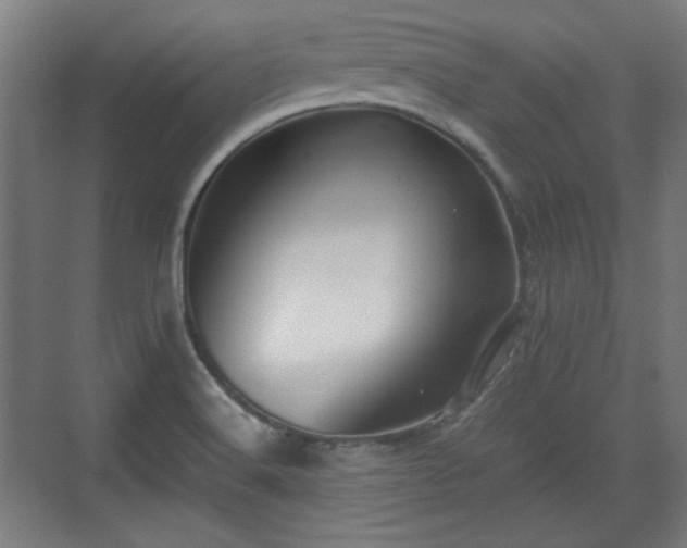 X0000071901516200607141321