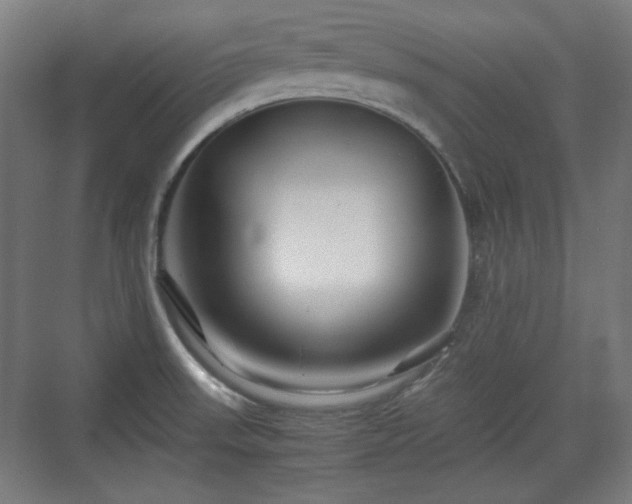 X0000071901523200607141321