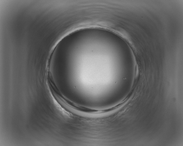 X0000071901524200607141321