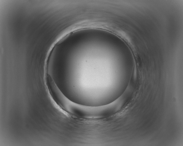 X0000071901528200607141321