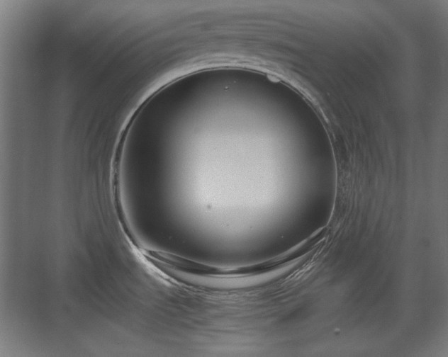 X0000071901535200607141321