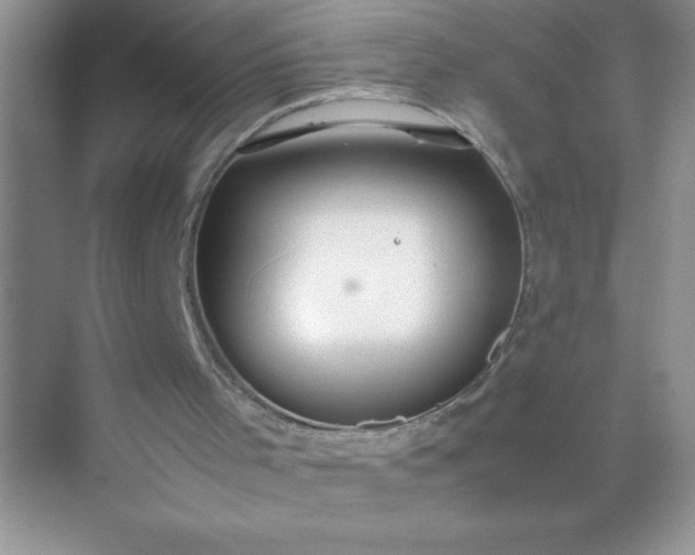 X0000071900001200607212028