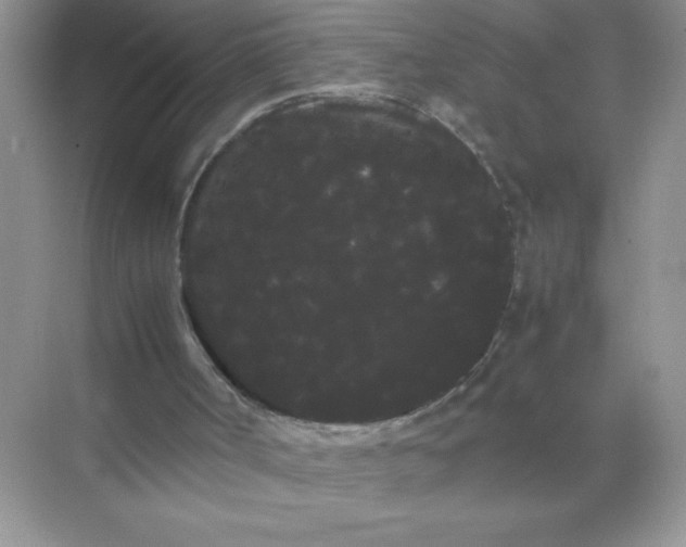 X0000071900002200607212028