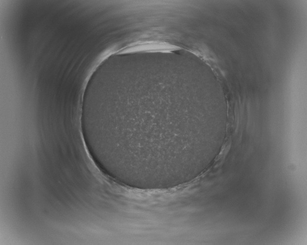 X0000071900003200607212028