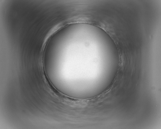 X0000071900004200607212028