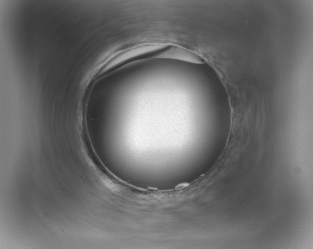 X0000071900005200607212028