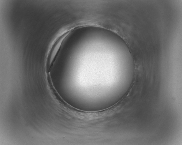 X0000071900006200607212028