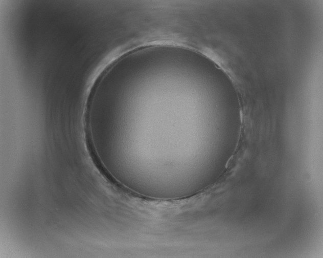 X0000071900007200607212028