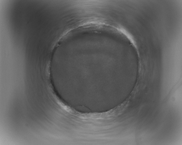 X0000071900009200607212028