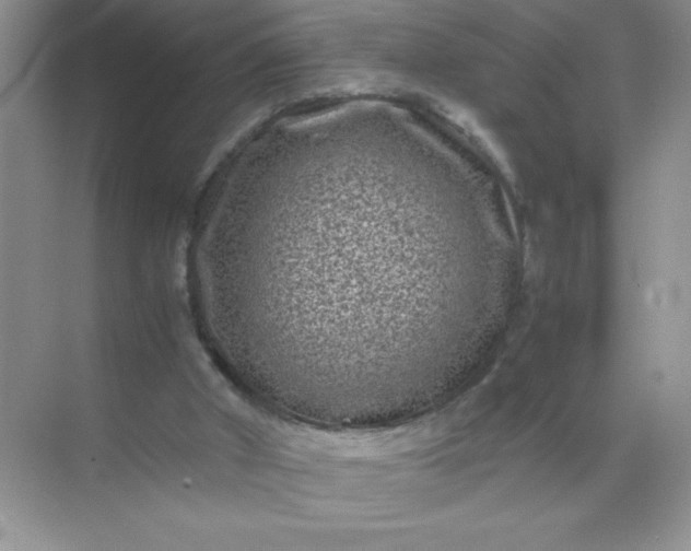 X0000071900010200607212028