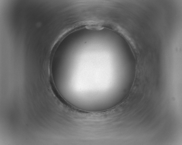 X0000071900011200607212028