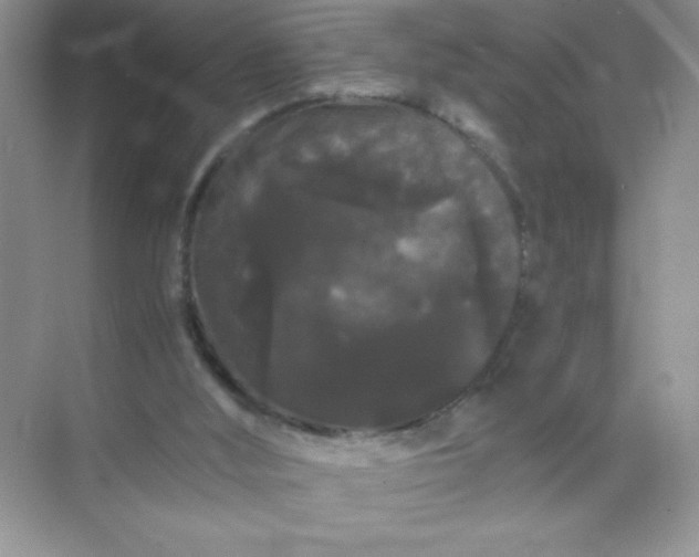 X0000071900012200607212028