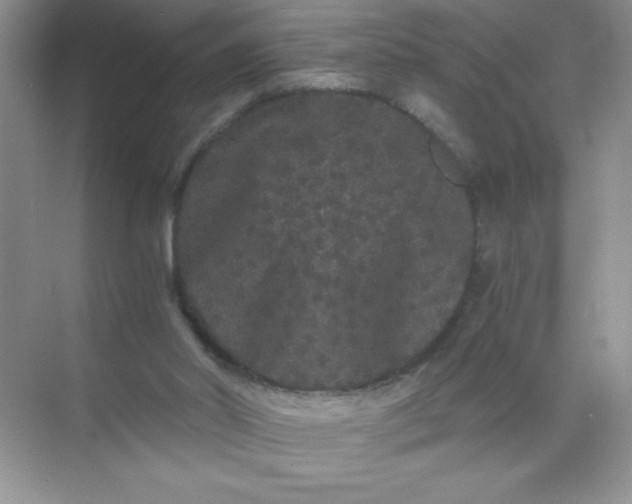 X0000071900014200607212028