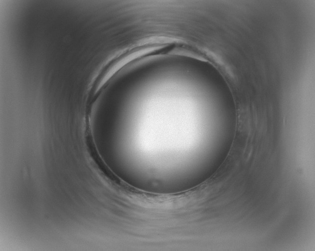 X0000071900015200607212028