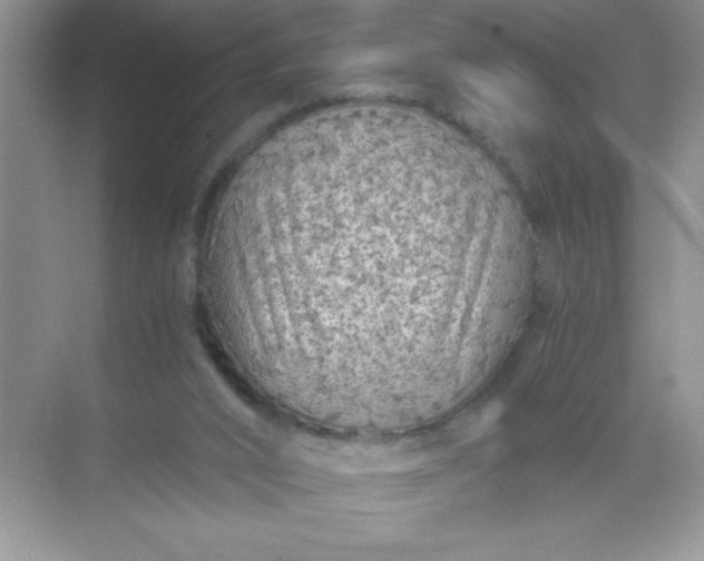 X0000071900016200607212028