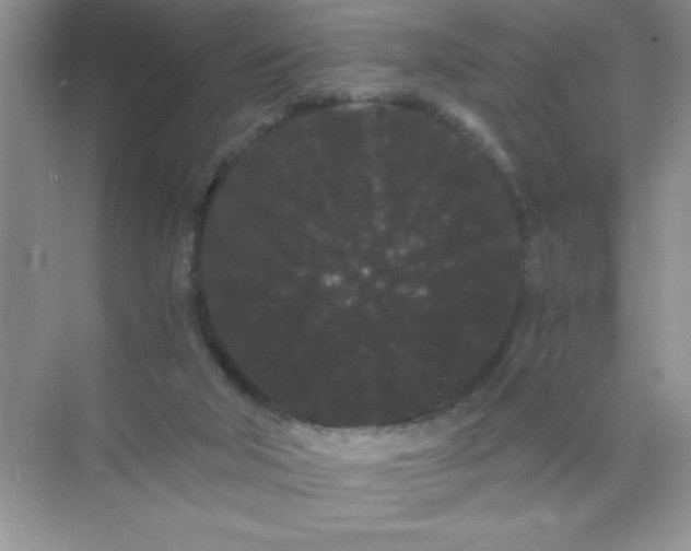 X0000071900018200607212028