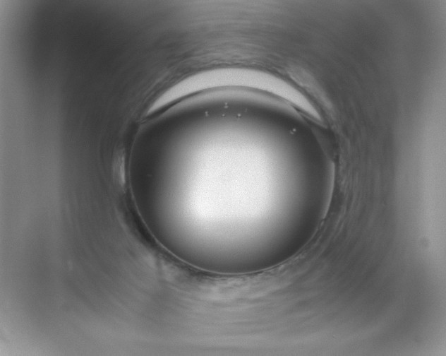 X0000071900021200607212028