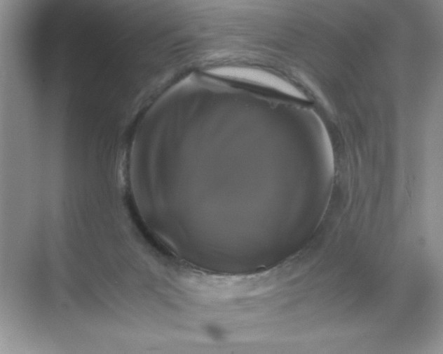 X0000071900023200607212028