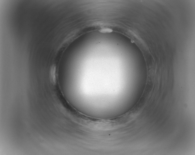 X0000071900024200607212028