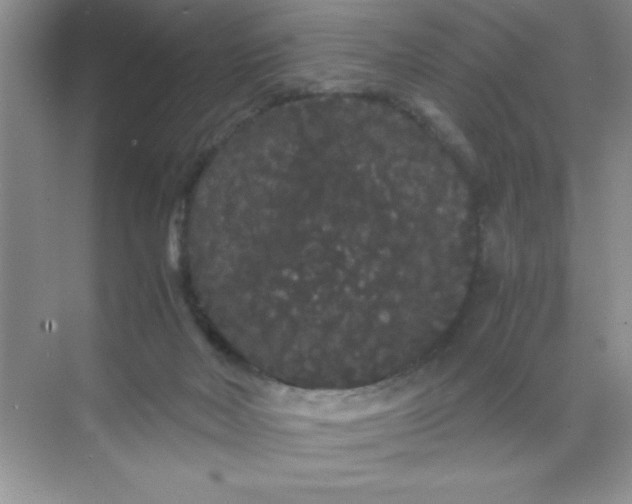 X0000071900026200607212028