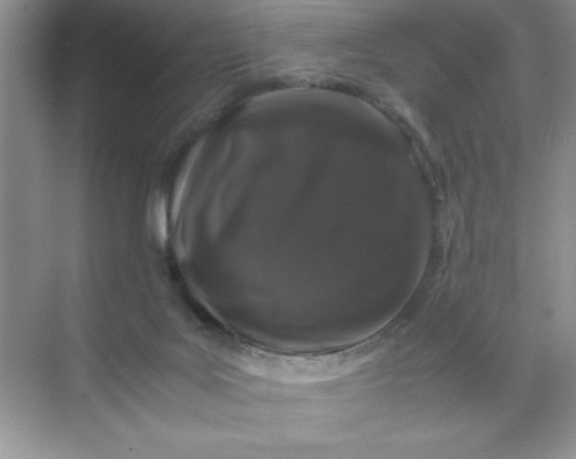 X0000071900027200607212028