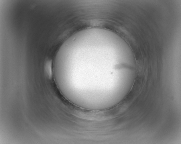 X0000071900028200607212028