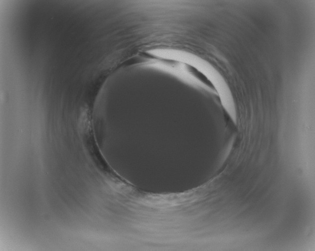 X0000071900029200607212028