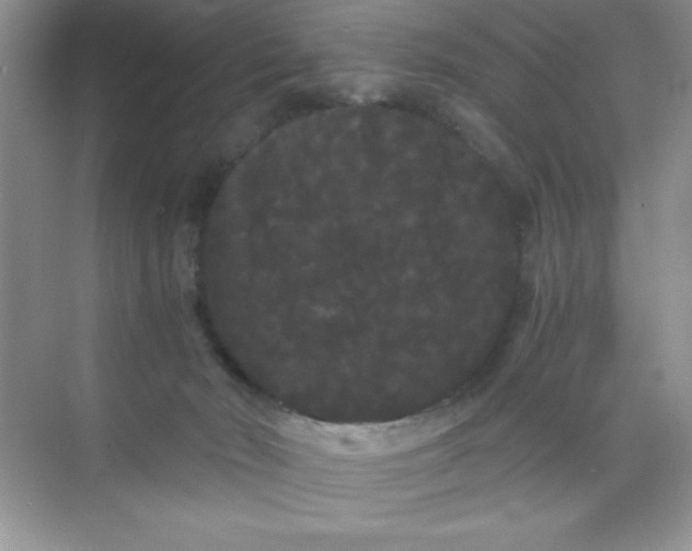 X0000071900030200607212028