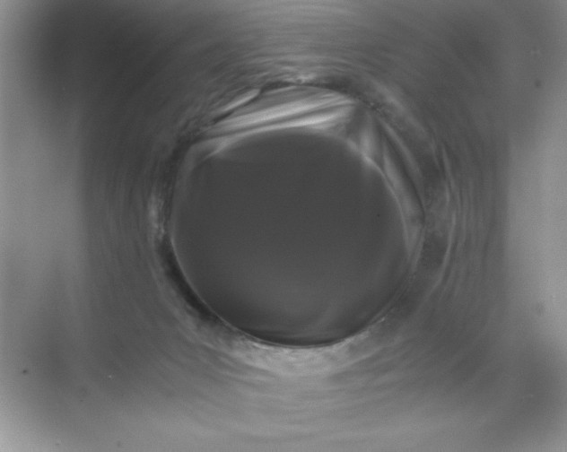 X0000071900031200607212028