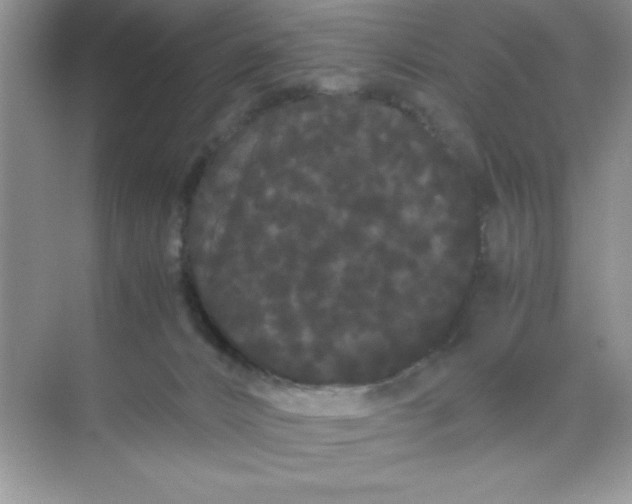 X0000071900032200607212028