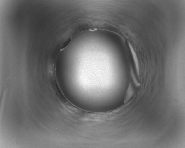 X0000071900033200607212028