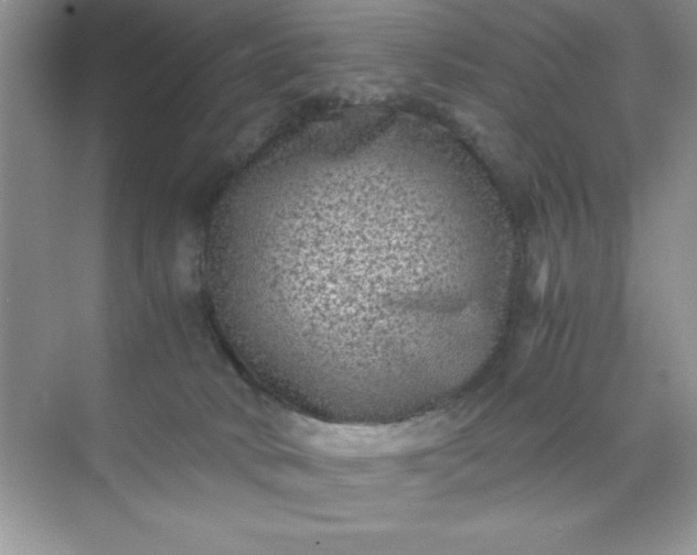 X0000071900034200607212028